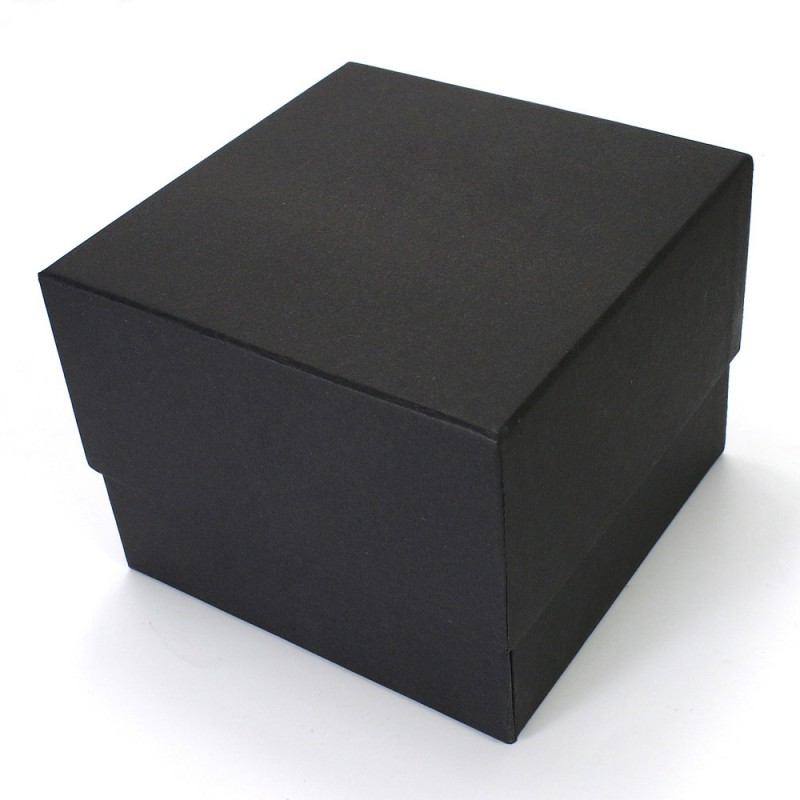 AD2 leather watch box
